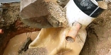464_Септичен резервоар София 04