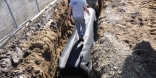 565_Септичен резервоар, дренажна система и система за дъждовна вода Пазарджик 08